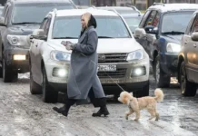 Никита Родионов из Fit Service рассказал, как безопасно водить при внезапном снегопаде nikita rodionov iz rasskazal kak bezopasno vodit pri vnezapnom snegopade-urbandigest-ru-0