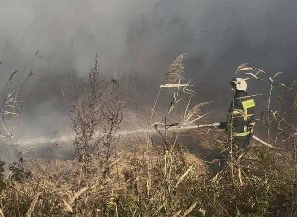 Пал сухой травы чуть не уничтожил два села в Приморье пресс-служба МинГОЧС Приморья