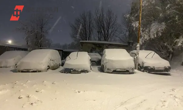 Примгидромет ожидает улучшения погоды во Владивостоке в ближайшее время-0