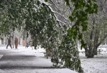 Прогноз Вильфанда об осенних осадках в столице prognoz vilfanda ob osennih osadkah v stolicze-urbandigest-ru-0