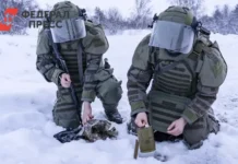 Северокорейские саперы и поддержка КНДР ускорят восстановление Курской области severokorejskie sapery i podderzhka kndr uskoryat vosstanovlenie kurskoj oblasti-urbandigest-ru-0