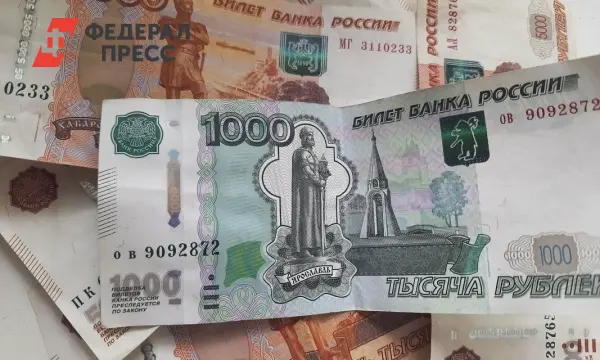 Совет Федерации одобрил повышение МРОТ в России и рост доходов-0