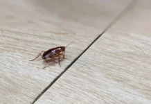 Советы по поиску отеля мечты на Booking без неприятных surprises sovety po poisku otelya mechty na bez nepriyatnyh -urbandigest-ru-0