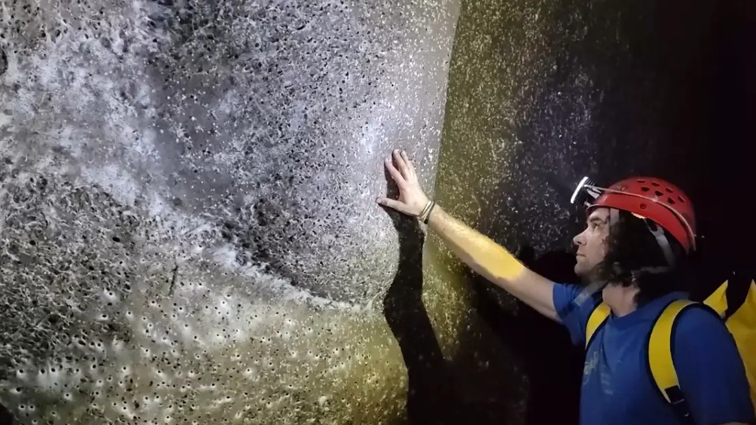 Гигантскую паутину площадью 106 «квадратов» нашли на границе Албании и Греции