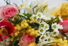 Традиции и запреты народного календаря Святой Параскевы обетами и цветами tradiczii i zaprety narodnogo kalendarya svyatoj paraskevy obetami i czvetami-urbandigest-ru-0