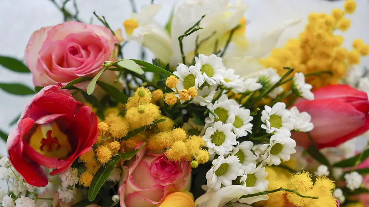 Народные приметы на 9 ноября