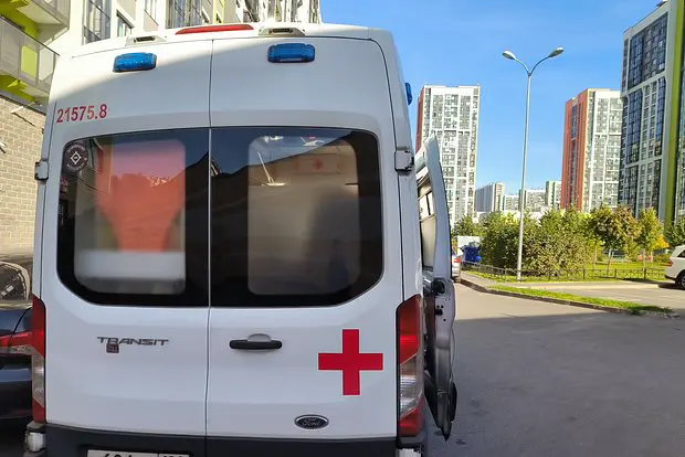 Вводная картинка