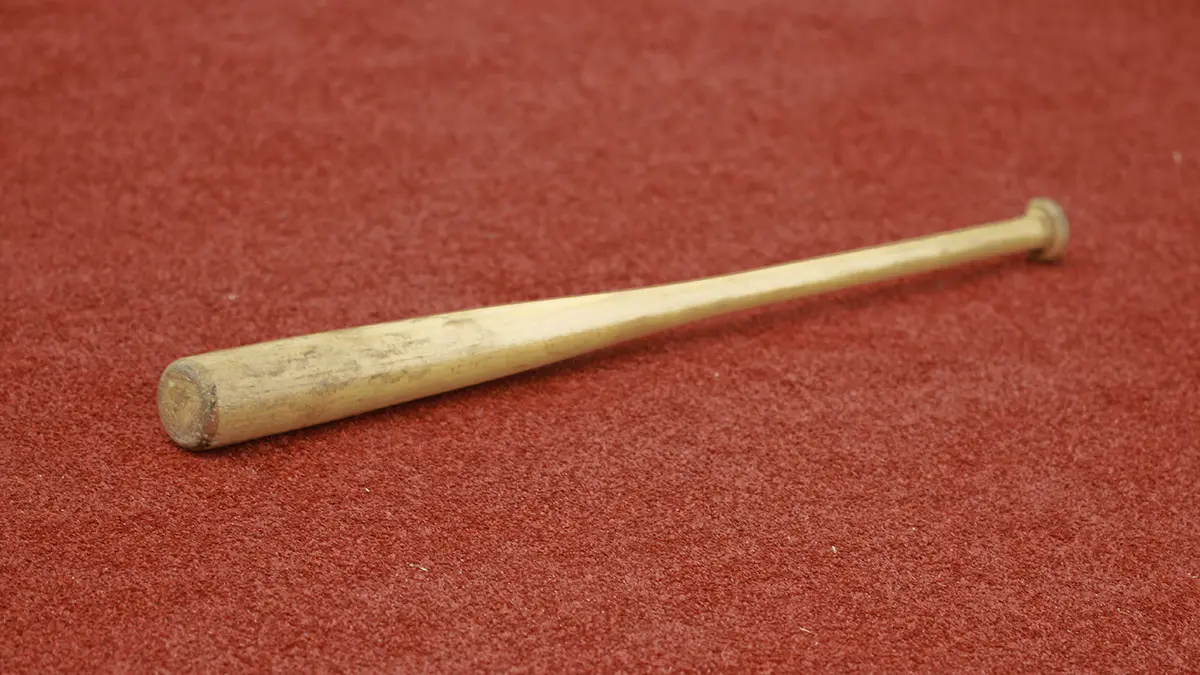 В Белгороде мужчины с топором и битой подрались после ссоры в родительском чате