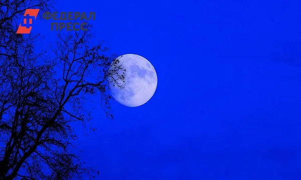В Рязанской области ожидается грандиозное суперлуние с Охотничьей и Бобровой Луной-0