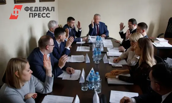 Законодательное собрание Челябинской области поддерживает инициативы Анатолия Брагина по бюджету на 2026 год-0