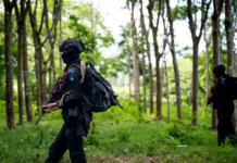 Армия Таиланда укрепляет стабильность в провинции Сакаэо на фоне дискуссий с Камбоджей armiya tailanda ukreplyaet stabilnost v provinczii sakaeo na fone diskussij s kambodzhej-urbandigest-ru-0