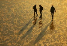 Дмитрий Еделев делится важными советами по спасению на реке Иня для новосибирцев dmitrij edelev delitsya vazhnymi sovetami po spaseniyu na reke inya dlya novosibirczev-urbandigest-ru-0