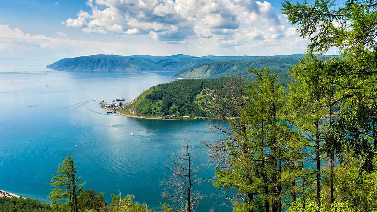 Комитет Госдумы поддержал законопроект о вырубке деревьев в зоне Байкала