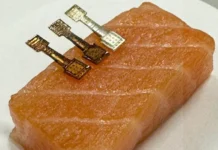 Инновационный датчик по гипоксантину помогает оценить свежесть рыбы быстро и точно innovaczionnyj datchik po gipoksantinu pomogaet oczenit svezhest ryby bystro i tochno-urbandigest-ru-0