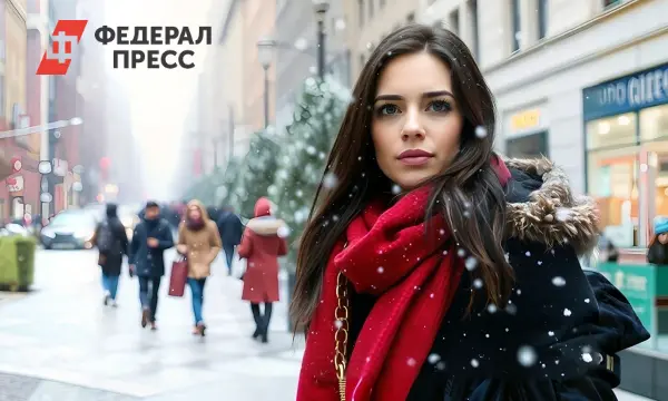 Москва ожидает снегопад в декабре, который станет зимним подарком России-0