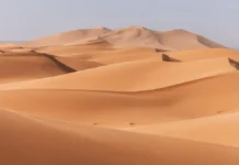 МВД России сообщает о прогрессе в расследовании Романа и Анны Новак в ОАЭ mvd rossii soobshhaet o progresse v rassledovanii romana i anny novak v oae-urbandigest-ru-0