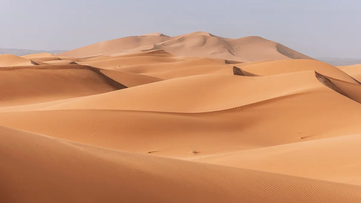 RT: Тела Романа Новака и его жены, убитых в ОАЭ, нашли в пустыне