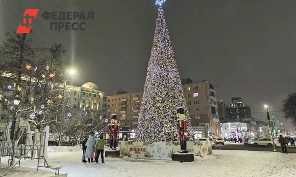 На Камчатке объявили новое расписание новогодних событий из-за шторма-0