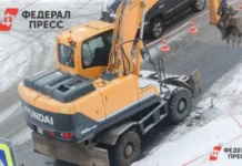 Охрана природы у улицы Нейбута в Владивостокской крепости и Саперном редуте № 4 ohrana prirody u uliczy nejbuta v vladivostokskoj kreposti i sapernom redute 4-urbandigest-ru-0