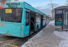 Оплата проезда в Ленинградской области при сбоях интернета и расчетов oplata proezda v leningradskoj oblasti pri sboyah interneta i raschetov-urbandigest-ru-0