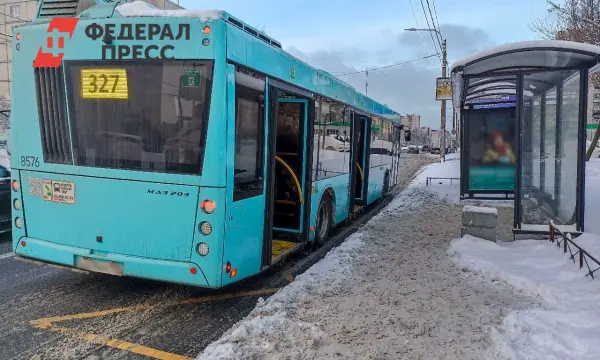 Оплата проезда в Ленинградской области при сбоях интернета и расчетов-0