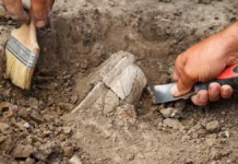 Палеогенетики из ЮАР и Университета Уппсалы открыли уникальные линии Африки paleogenetiki iz yuar i universiteta uppsaly otkryli unikalnye linii afriki-urbandigest-ru-0