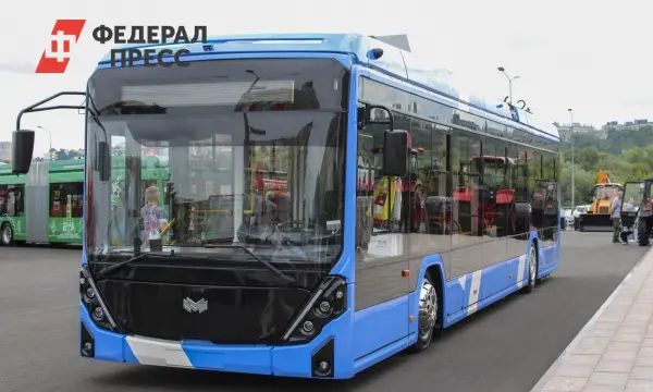 Павел Малков обозначил будущее транспорта Рязанской области с новыми троллейбусами и дорогами-0