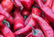 Россельхознадзор Приморья предотвратил завоз китайского перца с вирусом томатов rosselhoznadzor primorya predotvratil zavoz kitajskogo percza s virusom tomatov-urbandigest-ru-0