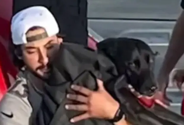 Вводная картинка