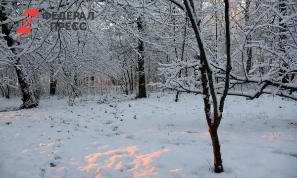 Синоптики делают прогноз о том, как Приморье встретит морозы до –36°-0