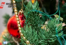 В Свердловской области и УрФО арендовать новогодние елки стало просто и удобно v sverdlovskoj oblasti i urfo arendovat novogodnie elki stalo prosto i udobno-urbandigest-ru-0