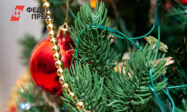 В Свердловской области и УрФО арендовать новогодние елки стало просто и удобно-0