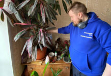 Волонтерский центр Алексея Вихарева приносит добро старшему поколению volonteri alekseya vihareva1_urbandigest