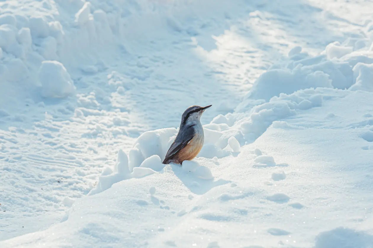 Фото: primamedia.ru