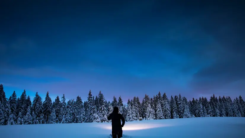 Эксперт по выживанию: в зимний поход в лес нужно брать с собой жирную пищу