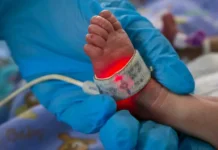 Ева Меркачева из СПЧ прокомментировала проверку роддома eva merkacheva iz spch prokommentirovala proverku roddoma-urbandigest-ru-0