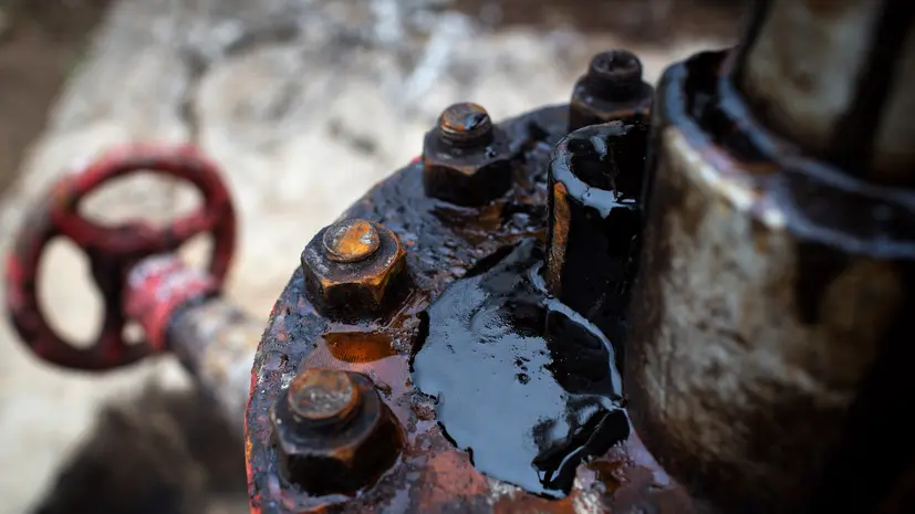 Аналитик назвал снижение потолка цен на нефть из России бюрократической процедурой