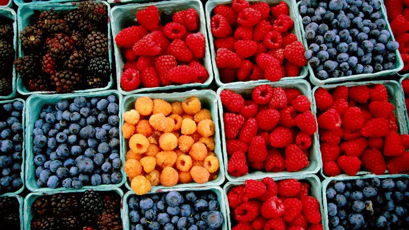 Кардиолог Ашихмин назвал ягоды полезным суперфудом