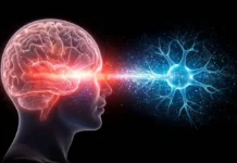 КФУ и Рустем Хазипов делают шаг к искусственным синапсам kfu i rustem hazipov delayut shag k iskusstvennym sinapsam-urbandigest-ru-0