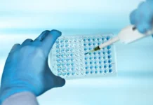 МГУ подтвердил, что Москва-река и Десна остаются чистыми от микропластика mgu podtverdil chto moskvareka i desna ostayutsya chistymi ot mikroplastika-urbandigest-ru-0