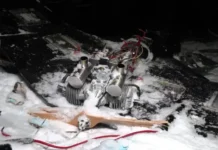 Минобороны сообщает об атаке украинских БПЛА на резиденцию Путина minoborony soobshhaet ob atake ukrainskih bpla na rezidencziyu putina-urbandigest-ru-0