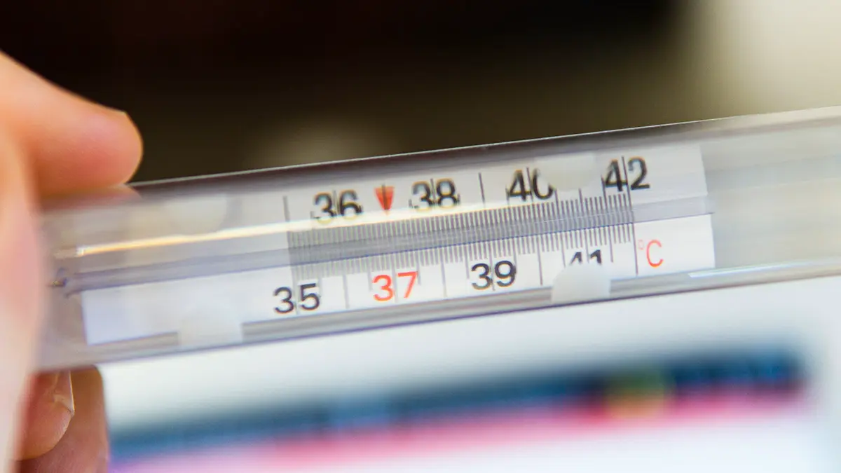 Поначалу похож на простуду: врач Крючков — о симптомах смертельного вируса Нипах