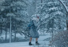 Примгидромет: Владивосток и Приморье ждут солнечные морозы primgidromet vladivostok i primore zhdut solnechnye morozy-urbandigest-ru-0