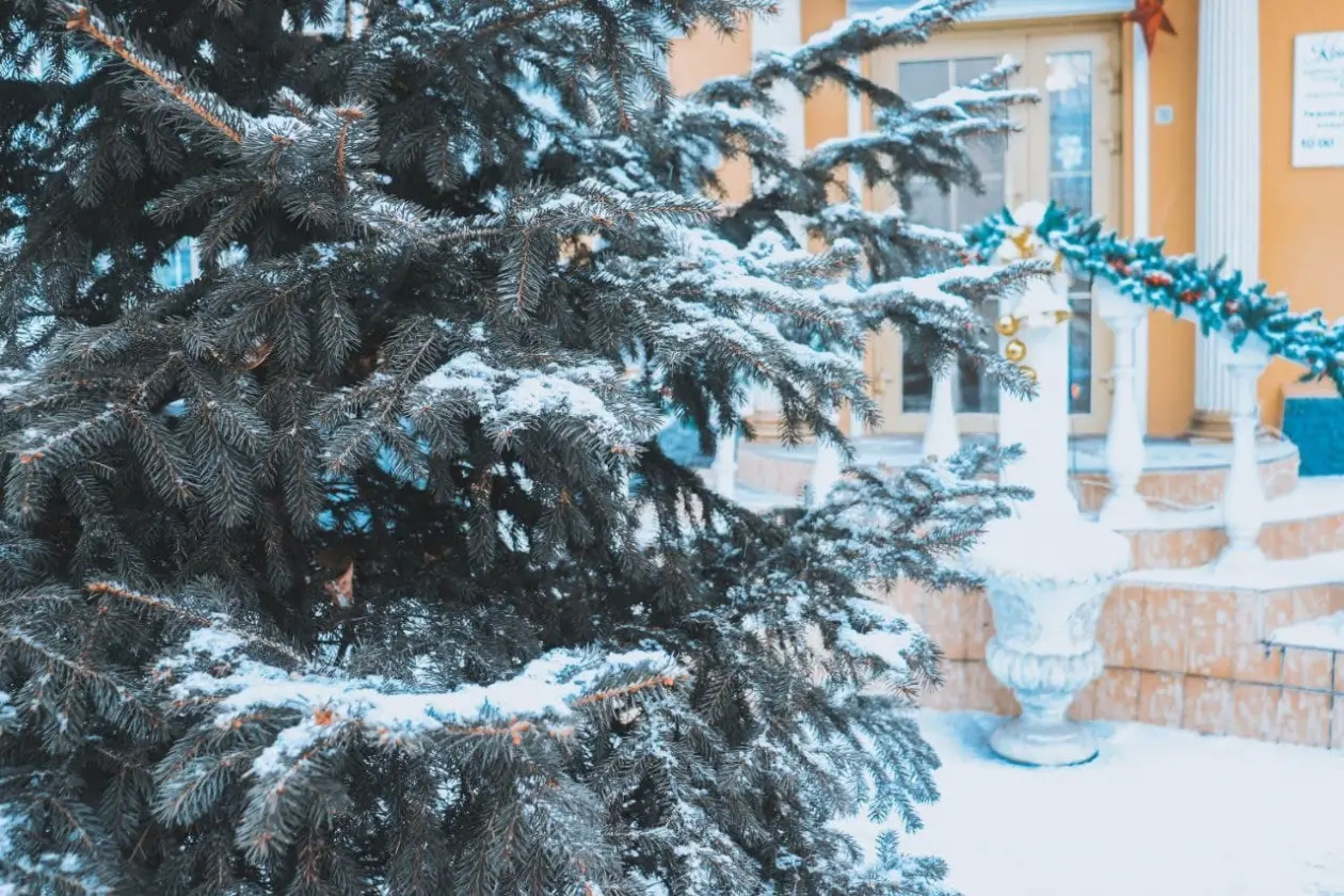 Тематическая фотография ИА ChitaMedia Анастасия Москалёва