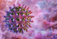 Роспотребнадзор дал туристам рекомендации по вирусу Нипах rospotrebnadzor dal turistam rekomendaczii po virusu nipah-urbandigest-ru-0