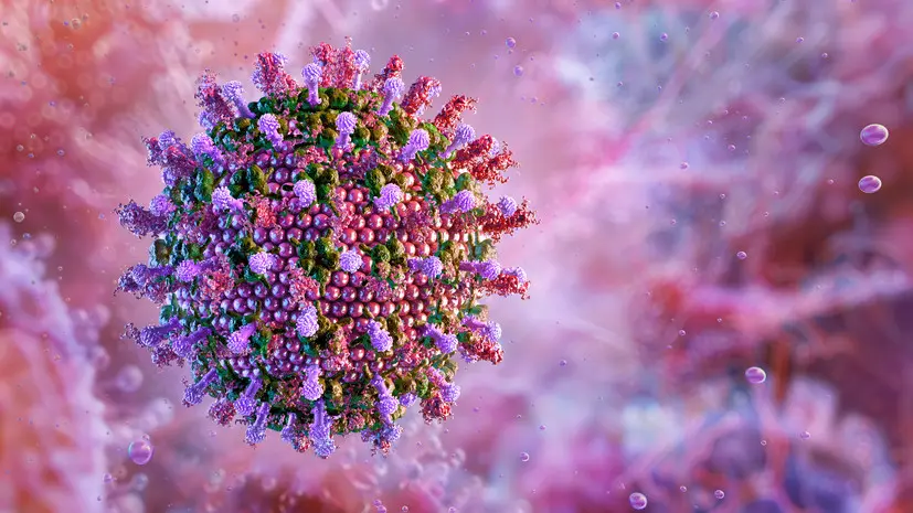 Роспотребнадзор дал рекомендации туристам из-за вспышки вируса Нипах