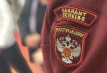 Роспотребнадзор проводит расследование после отравления кониной в Раменском rospotrebnadzor provodit rassledovanie posle otravleniya koninoj v ramenskom-urbandigest-ru-0