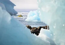 Светлана Журова заявила, что Россия не проявляет интереса к Гренландии svetlana zhurova zayavila chto rossiya ne proyavlyaet interesa k grenlandii-urbandigest-ru-0