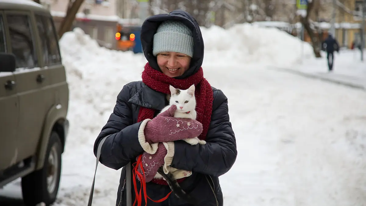 Погода в Москве на выходные 17–18 января