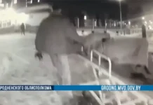 В Гродно российский турист получил помощь после падения и травмы v grodno rossijskij turist poluchil pomoshh posle padeniya i travmy-urbandigest-ru-0